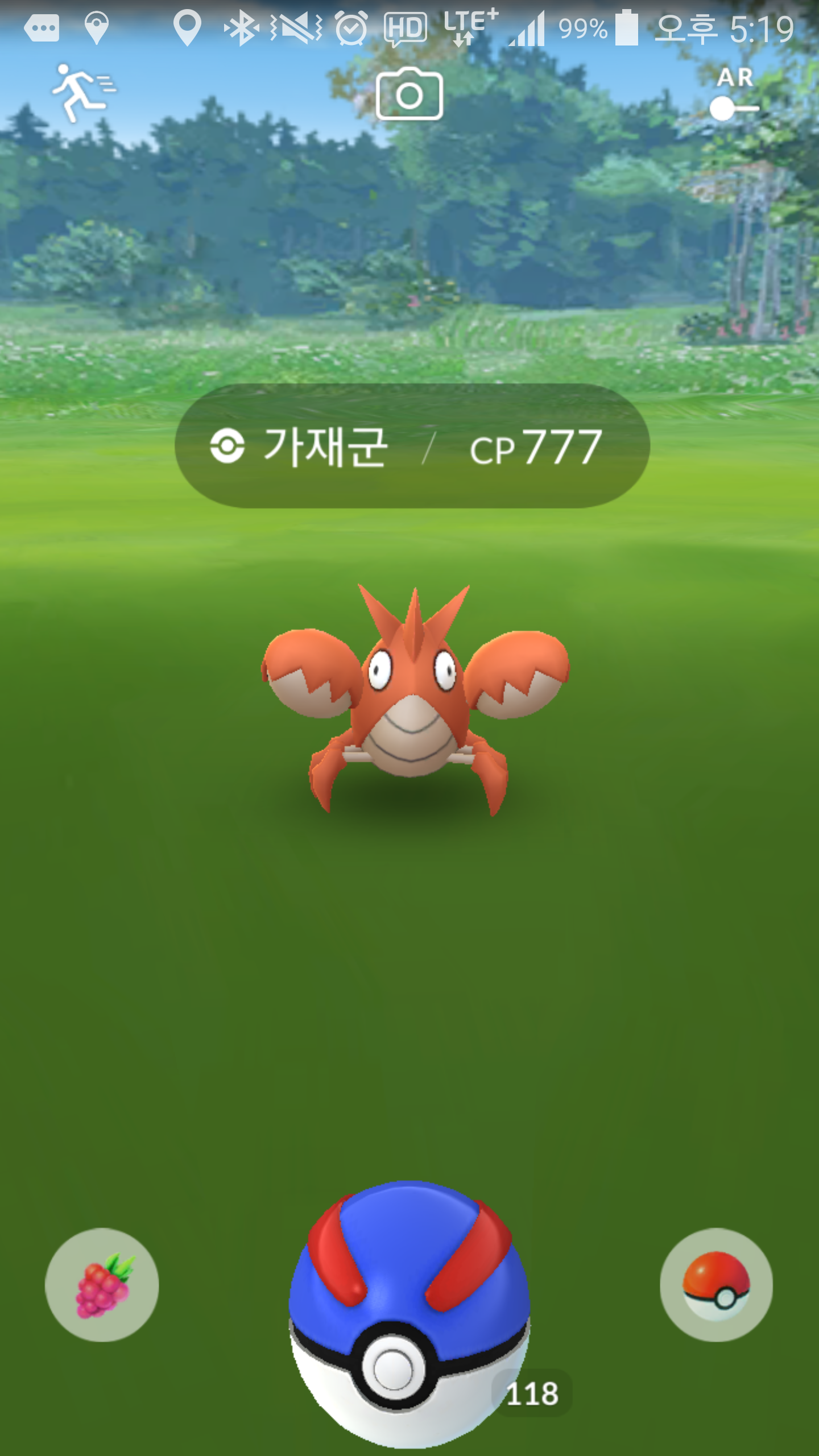 행운의 가재군
