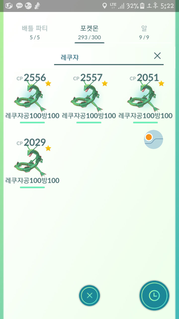 레쿠쟈 4마리!