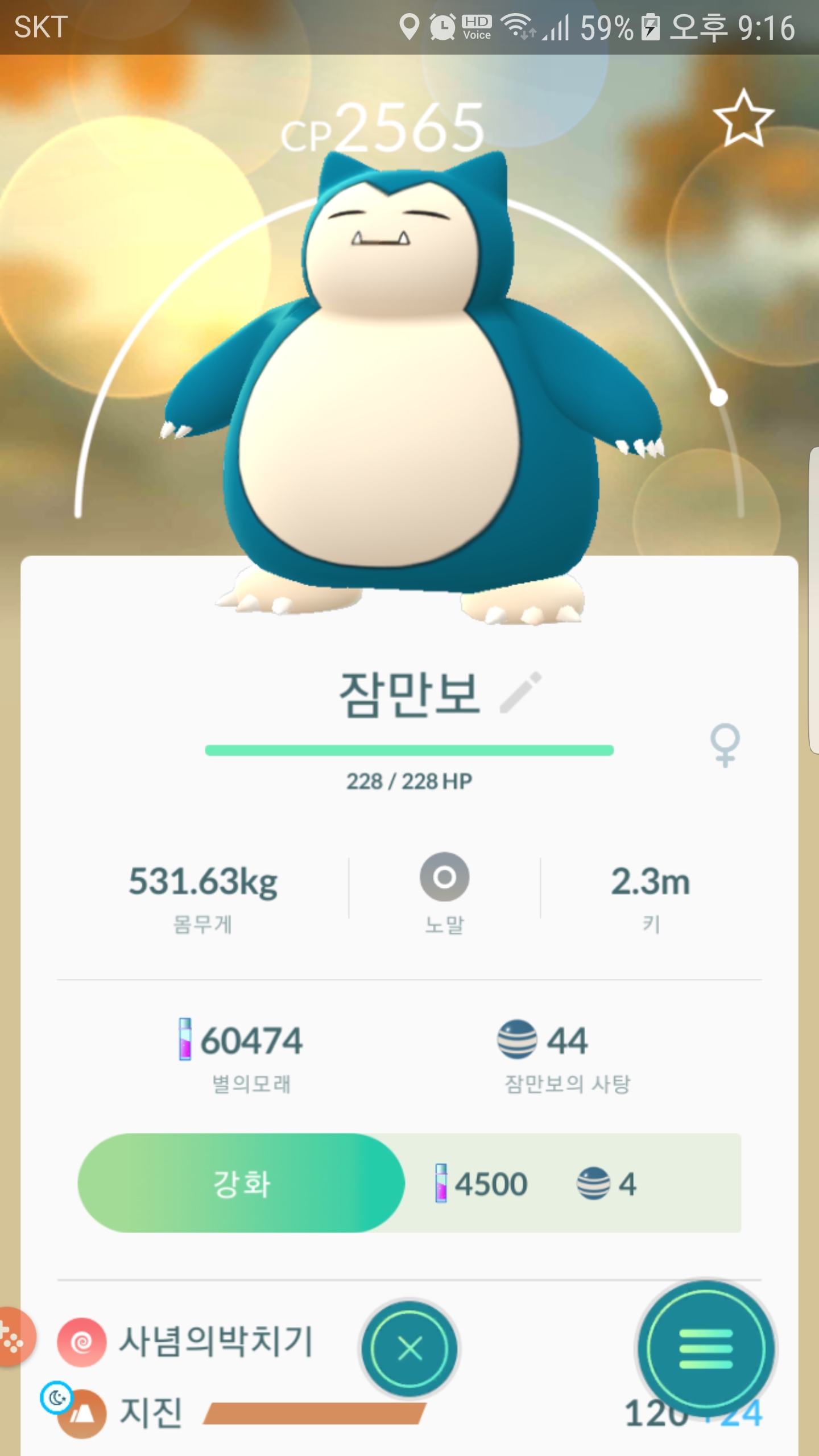 저녁에 잡은 곰팅이