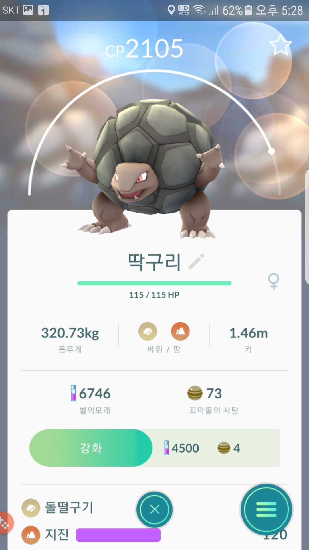 야생 딱구리