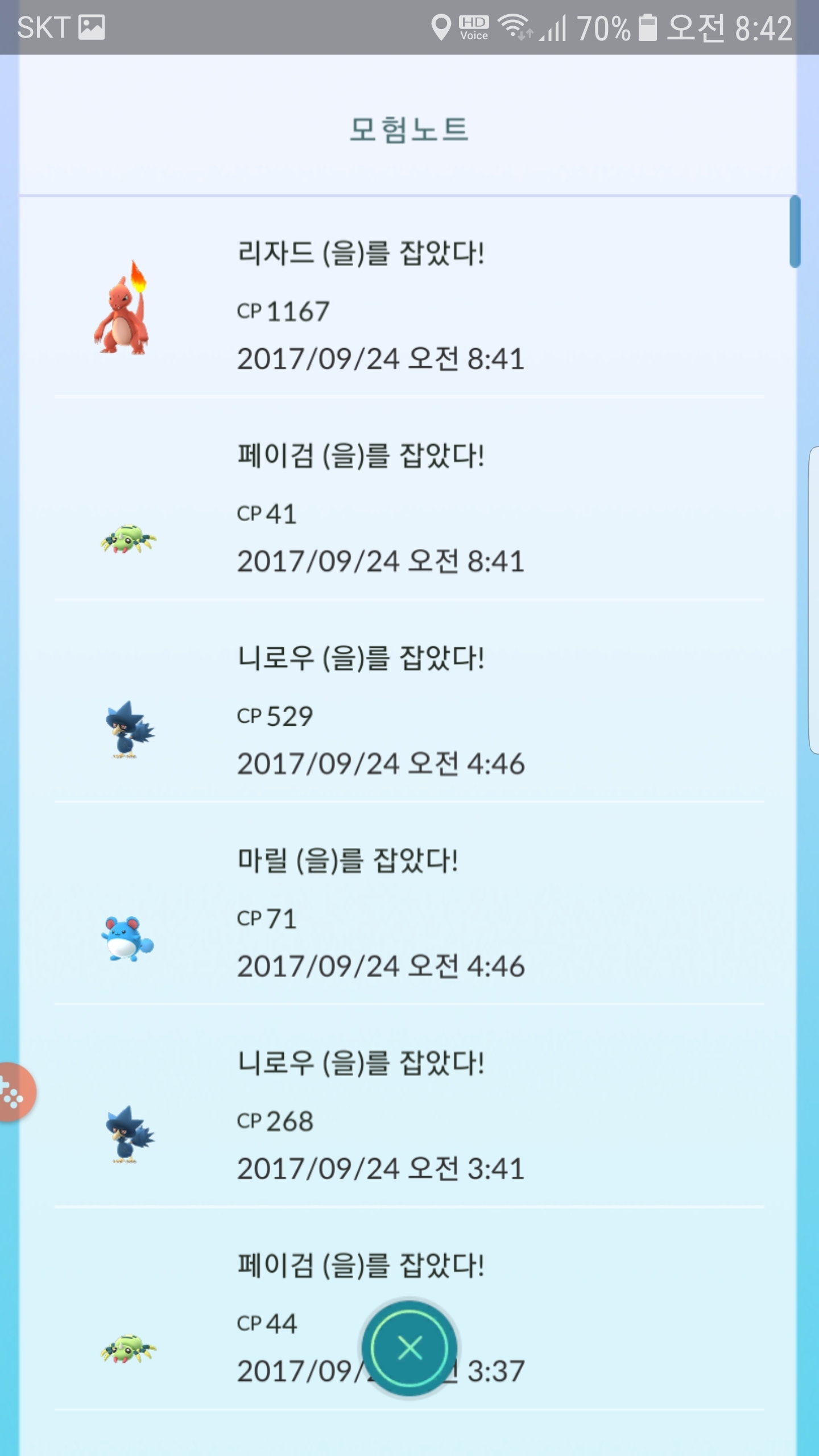 집에서 작은 리자드