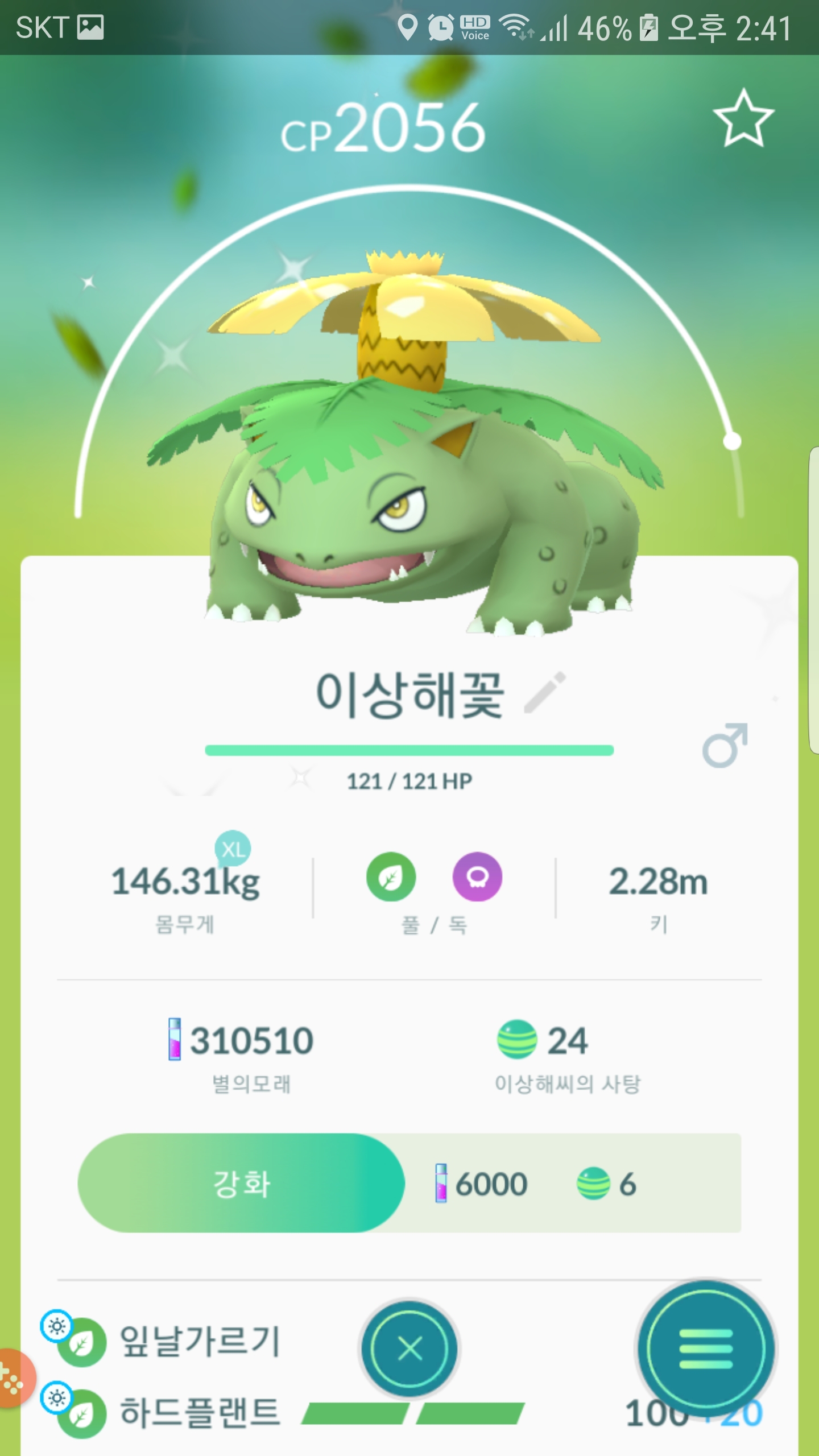 이로치 이상해씨.이상해풀.이상해꽃