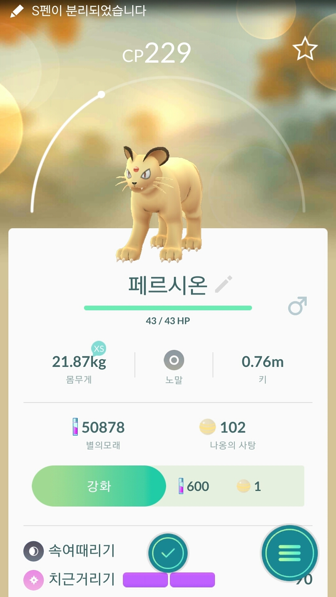 간식먹으러 집에 들어온 녀석?