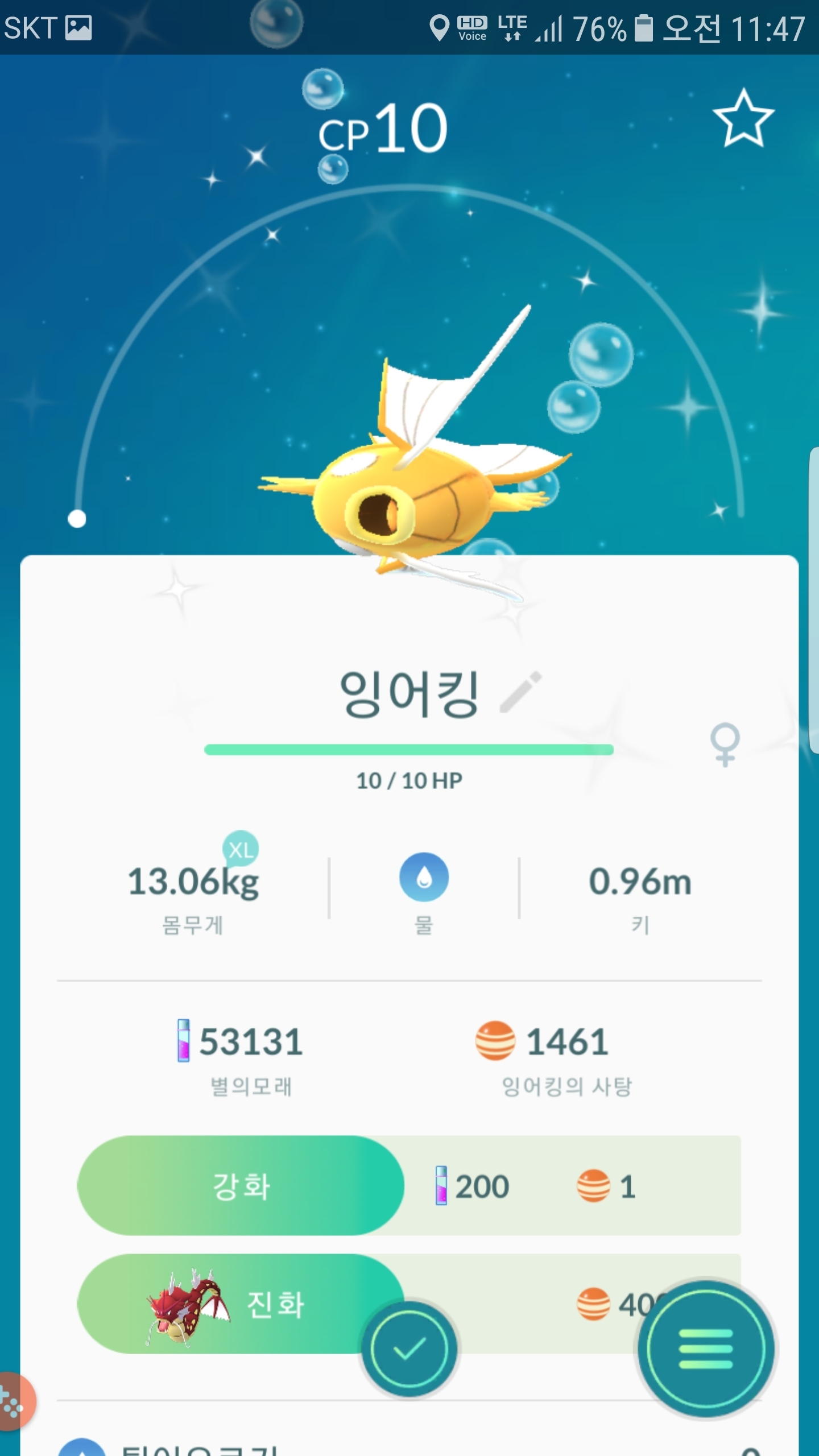황금잉어킹 오늘도 한마리 잡았네요