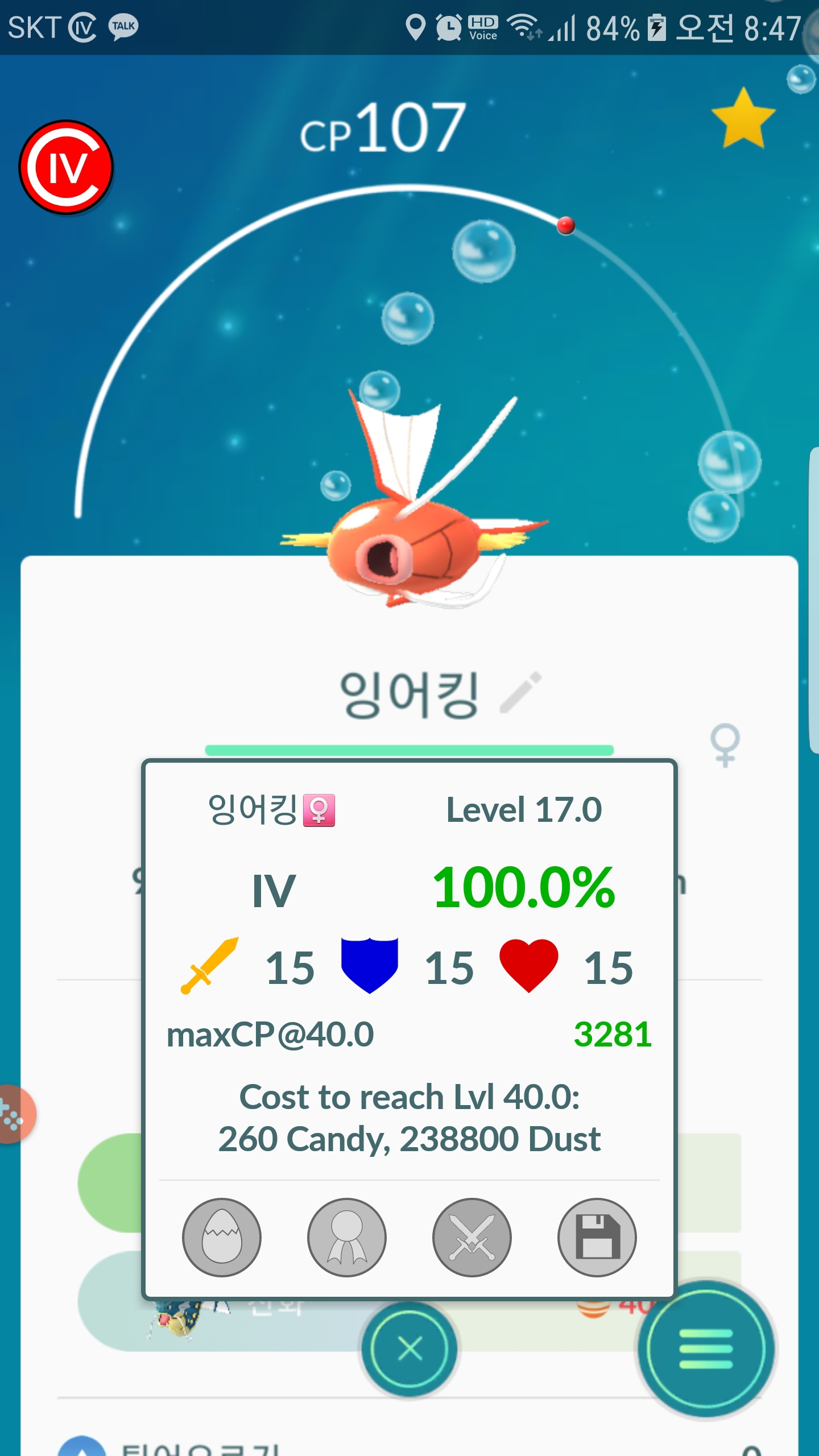 오늘잡은 잉어킹 100%