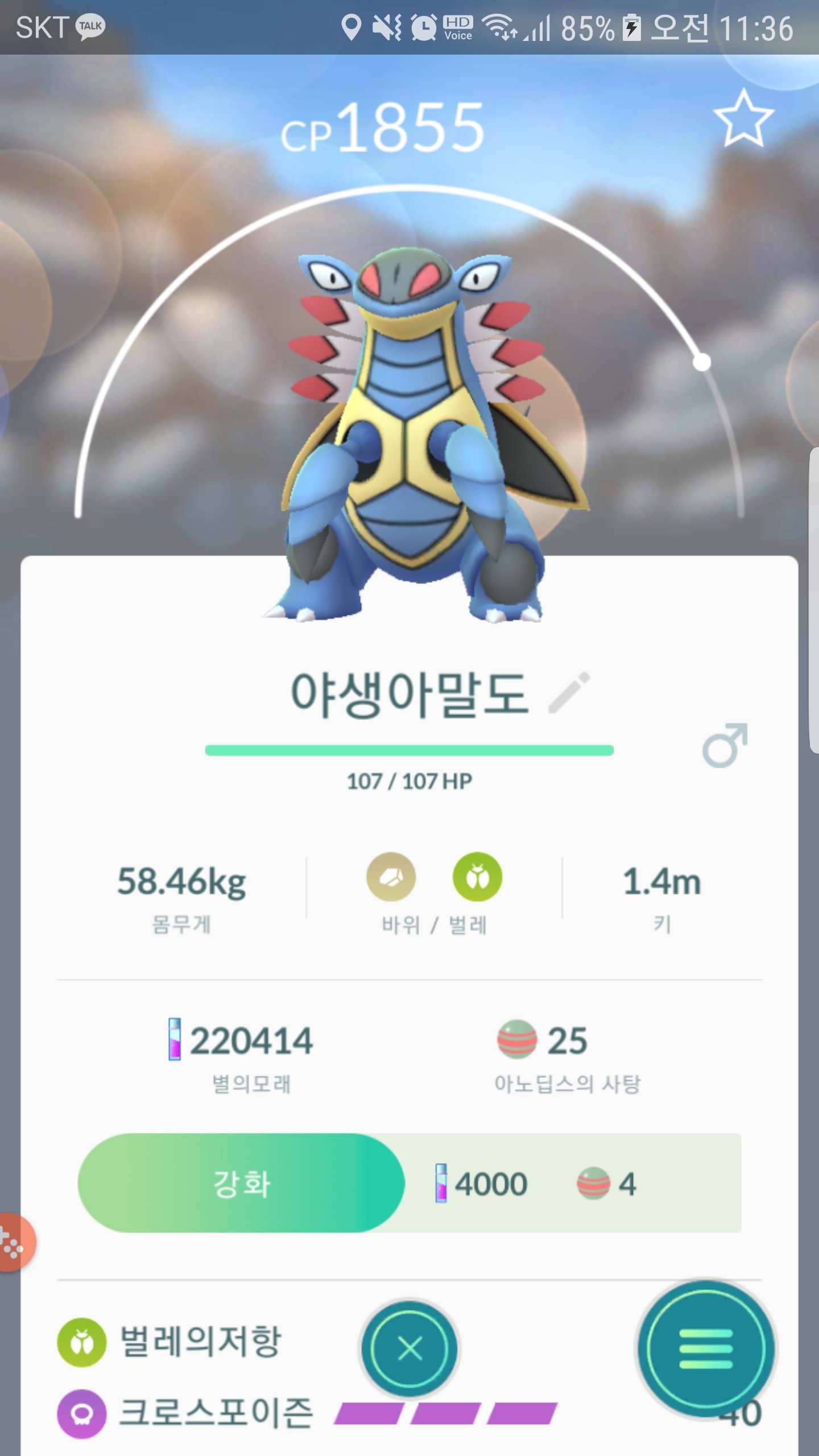 오늘잡은 야생 아말도
