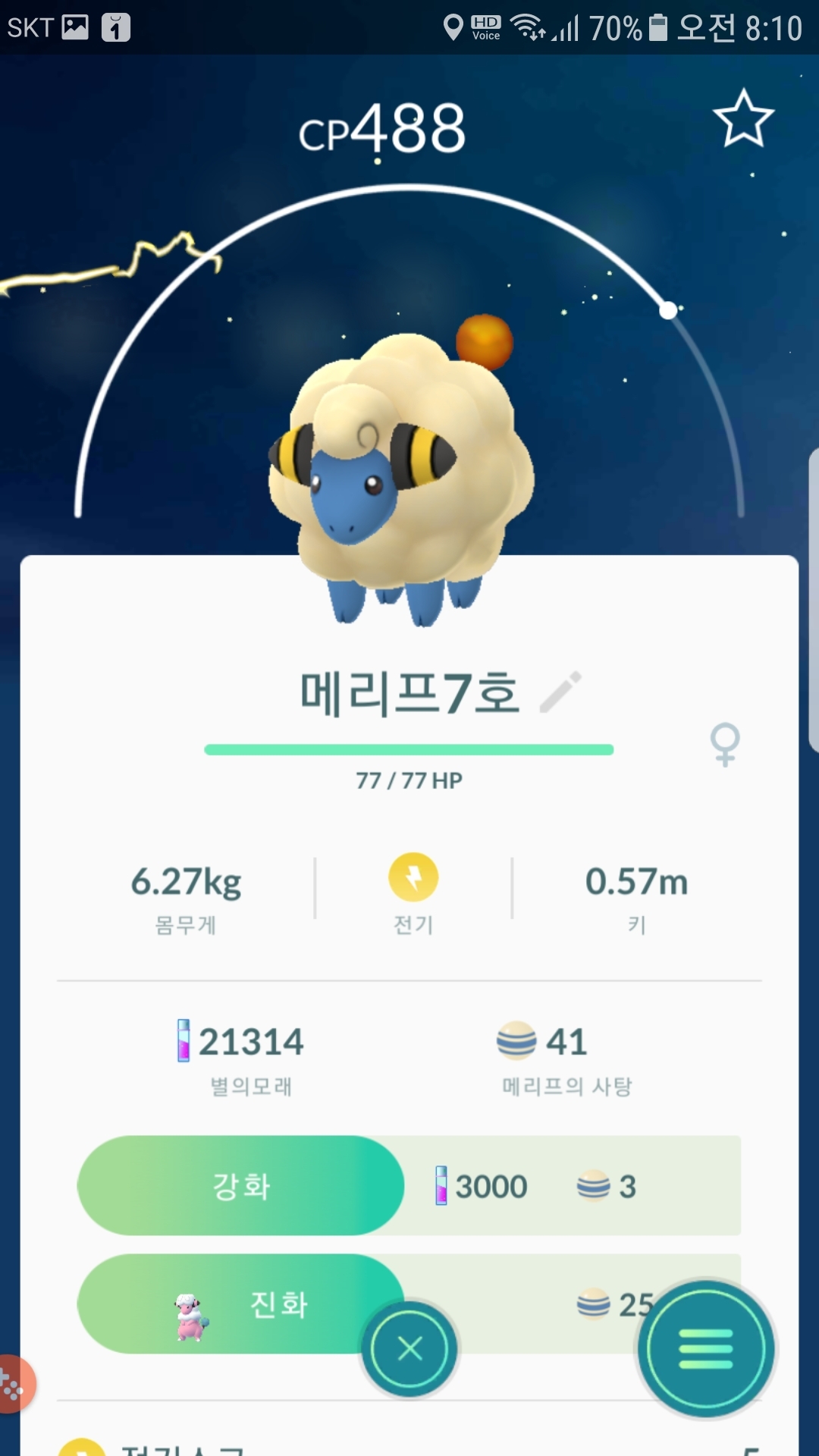 7번째 메리프와 곰팅이 팁으로 포획