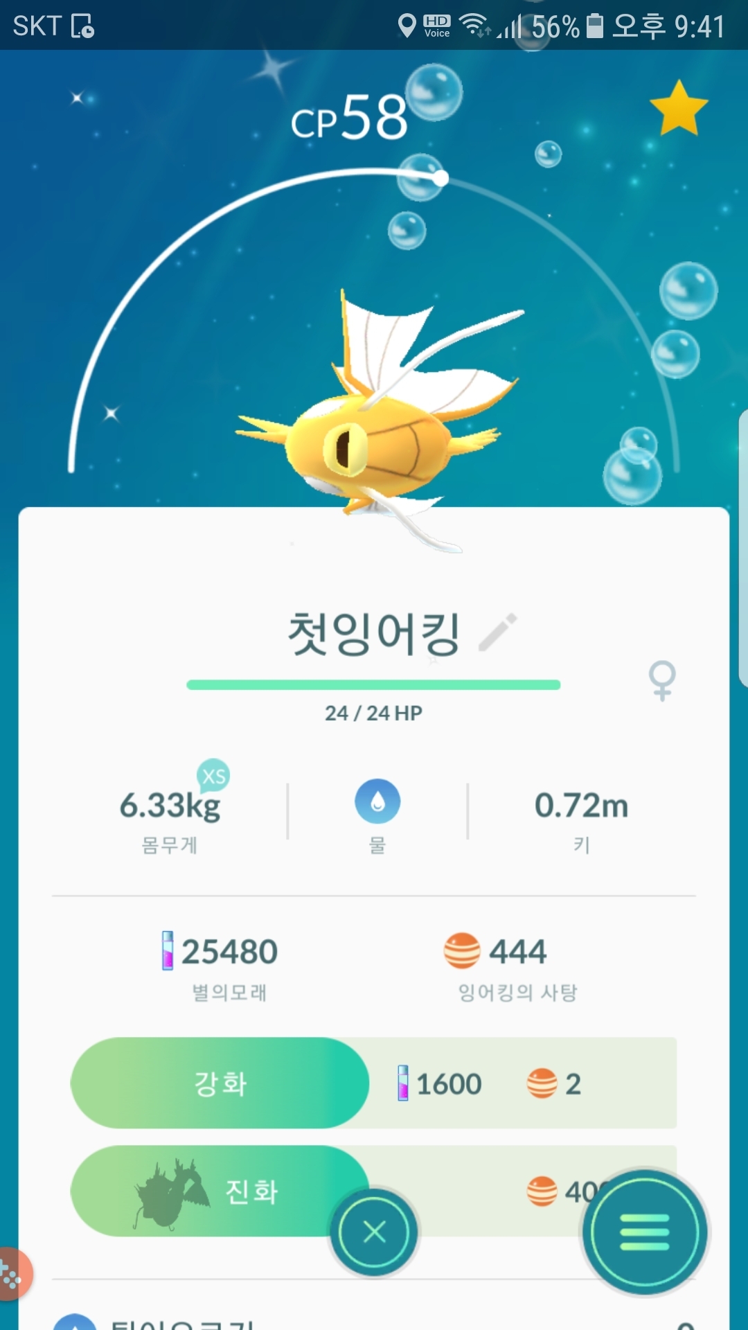 회식마치고오다  잡은 황금잉어킹