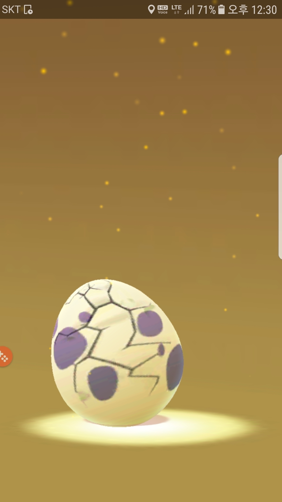 10km알 부화결과~~~~