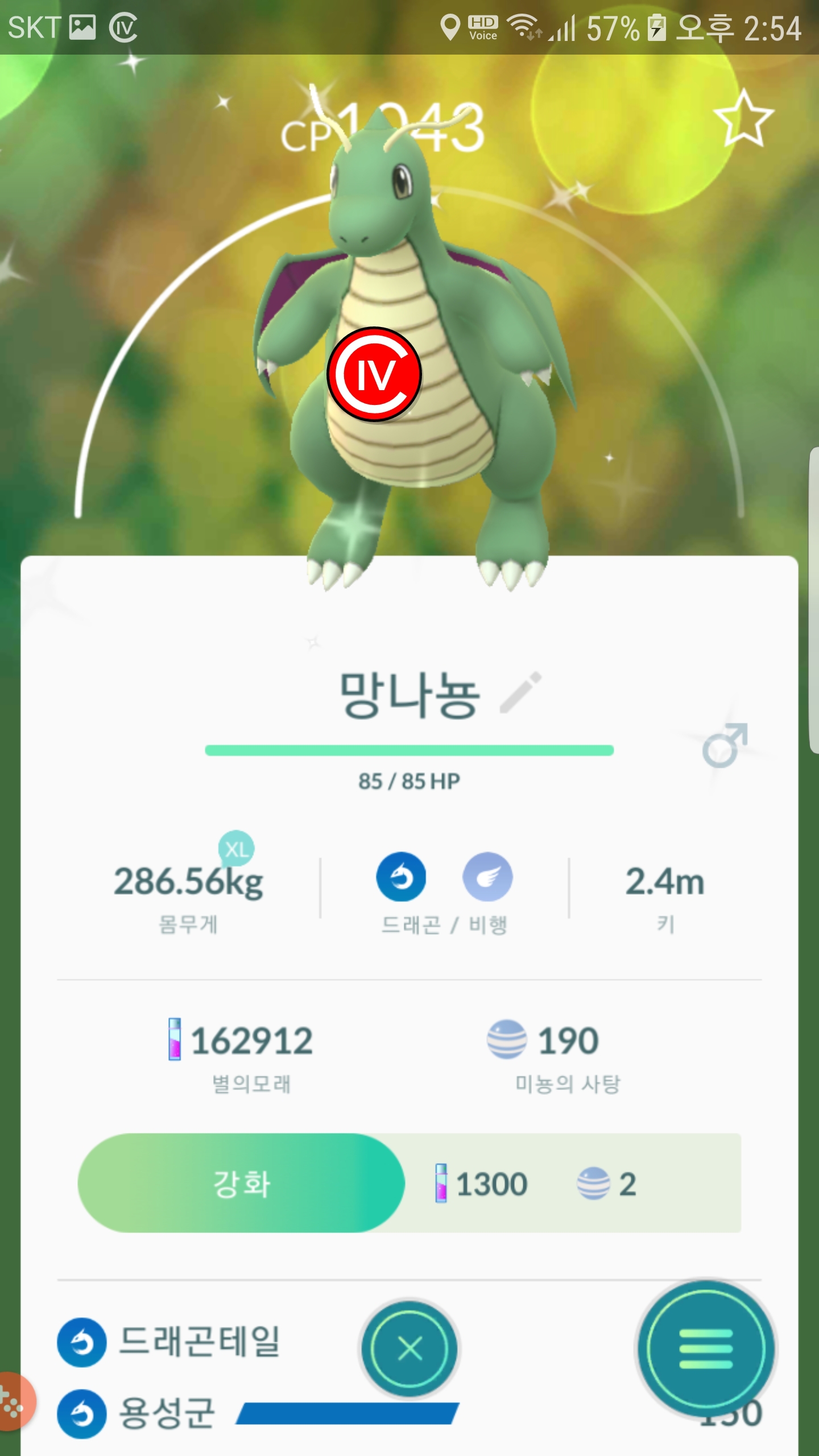 이로치3마리와 백퍼 졸업망나뇽