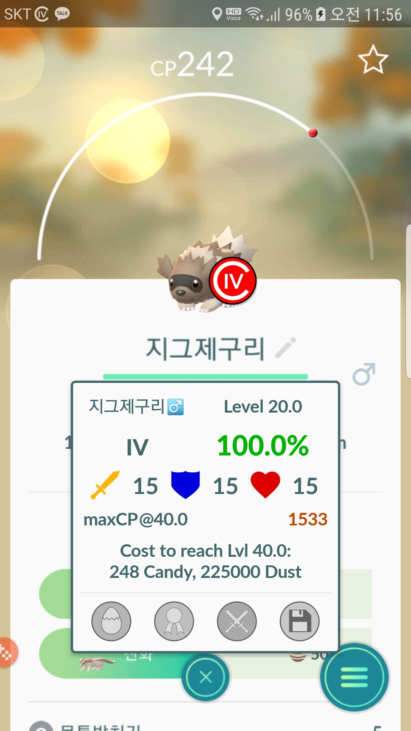 알에서나온 지그제구리 100%
