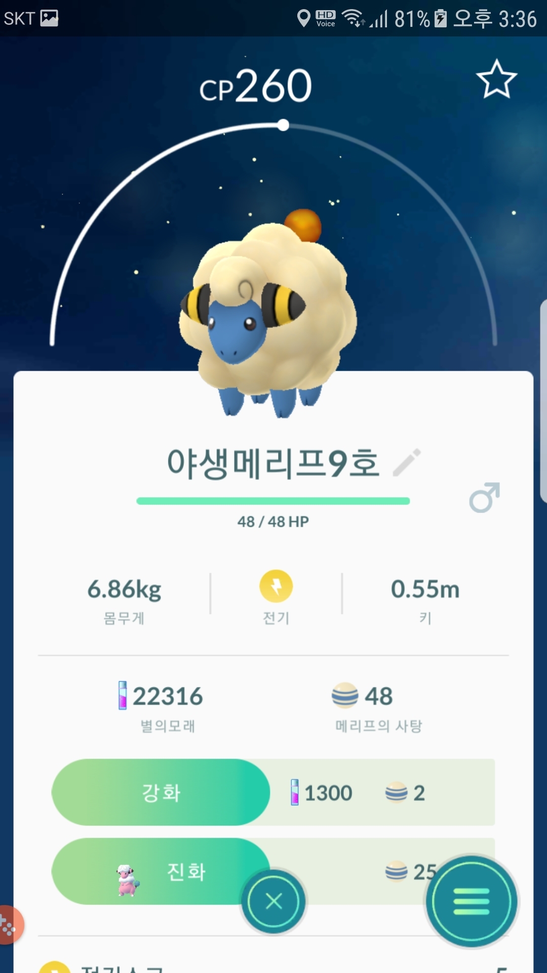 야생메리프 포획