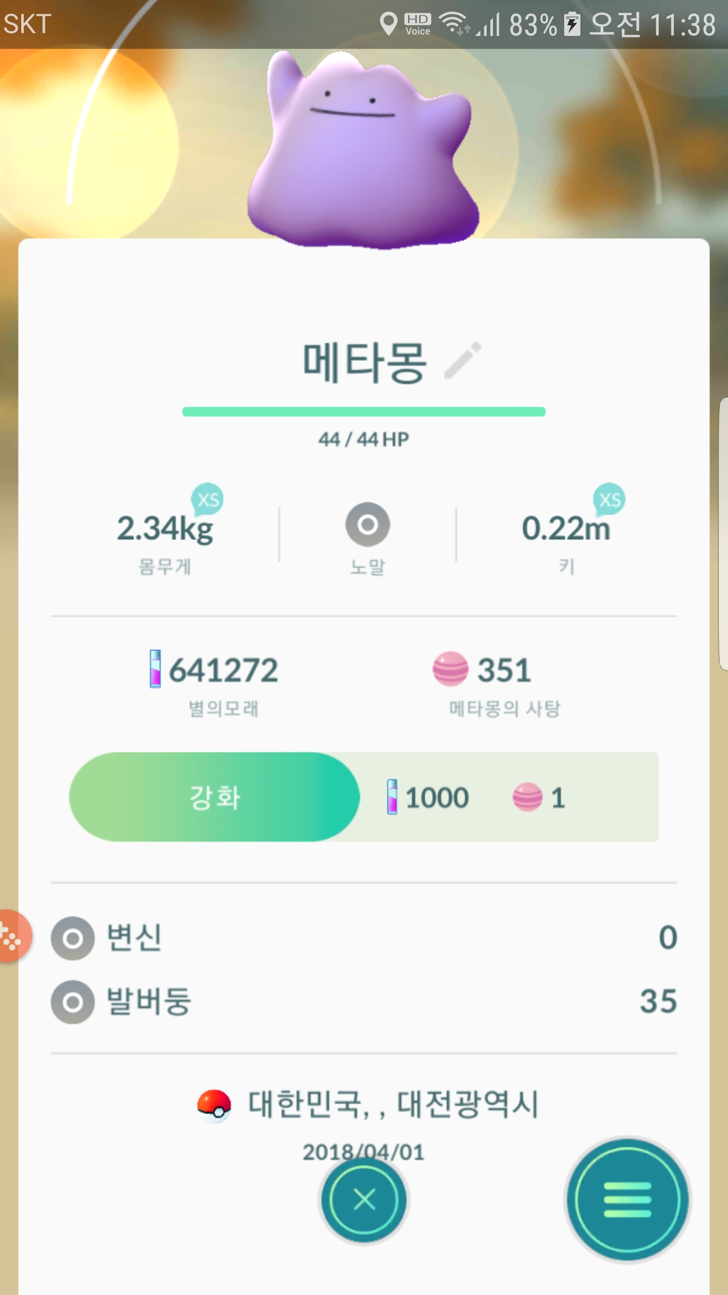 메타몽 과제 수행 완료