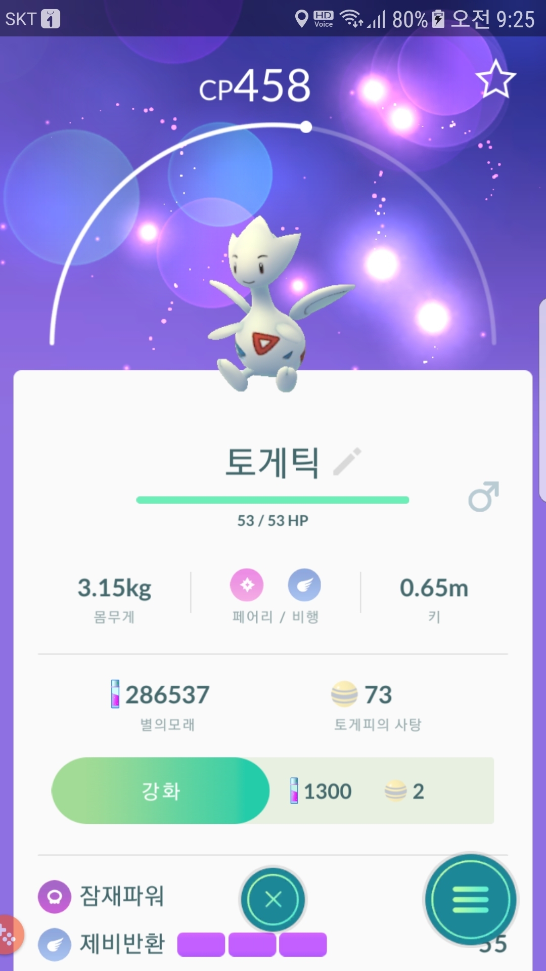집에 찾아온 토게틱
