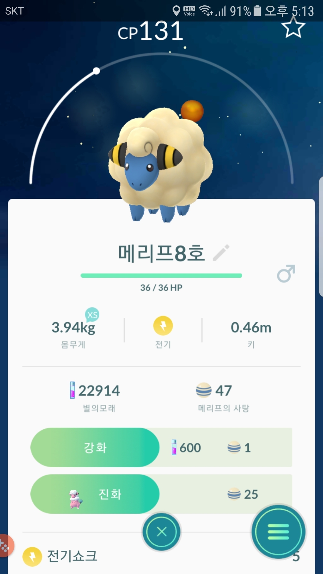 8번째 메리프 포획