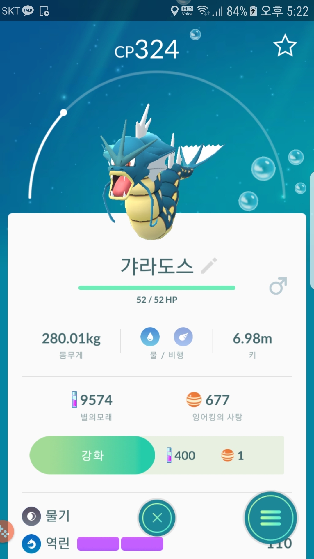 야생 갸라도스  포획