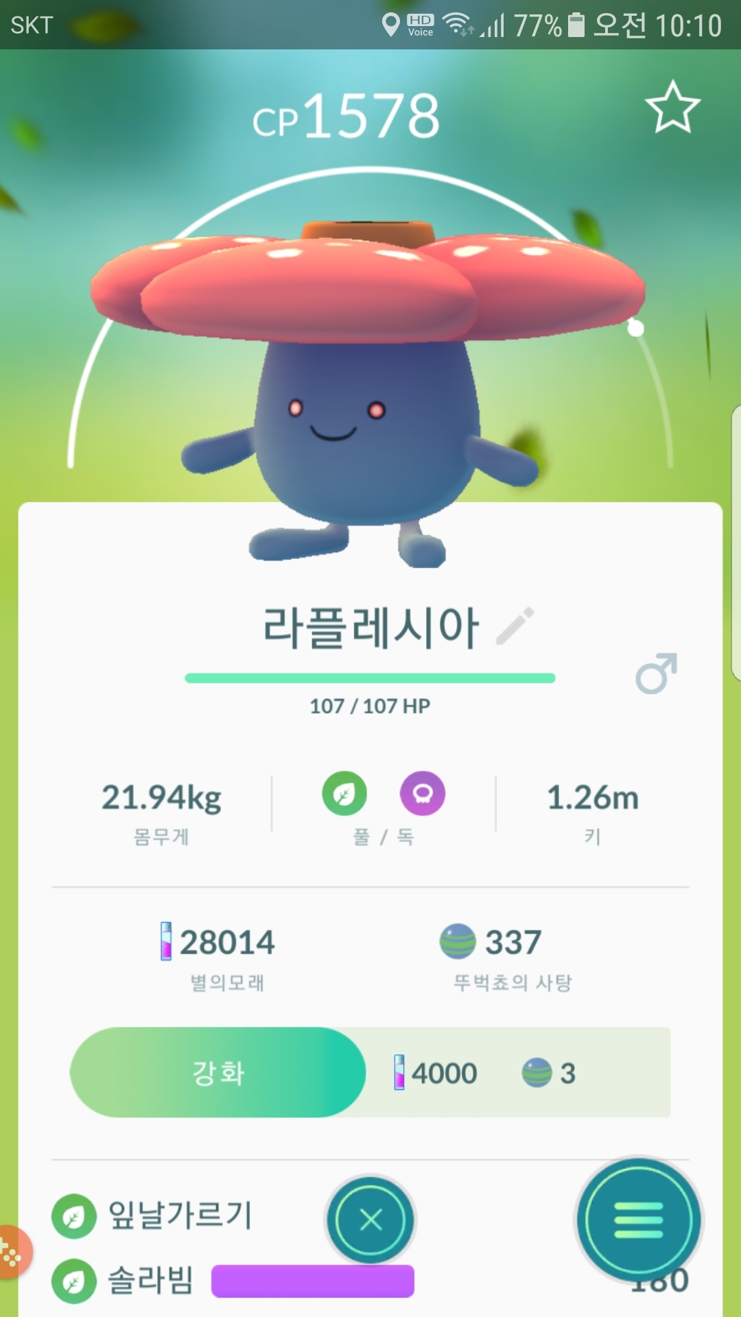 야생 라플레시아와 딱구리 포획