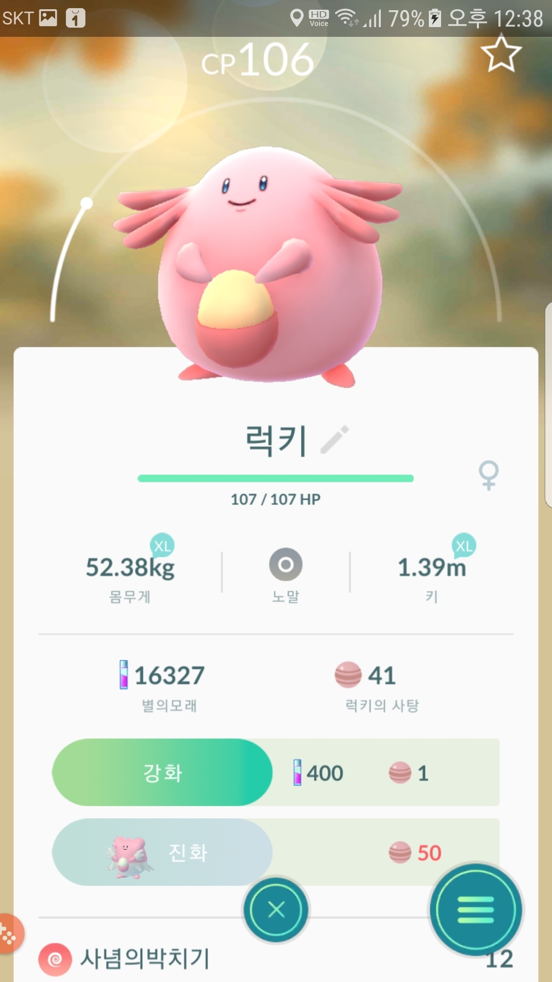 야생  럭키 사탕용