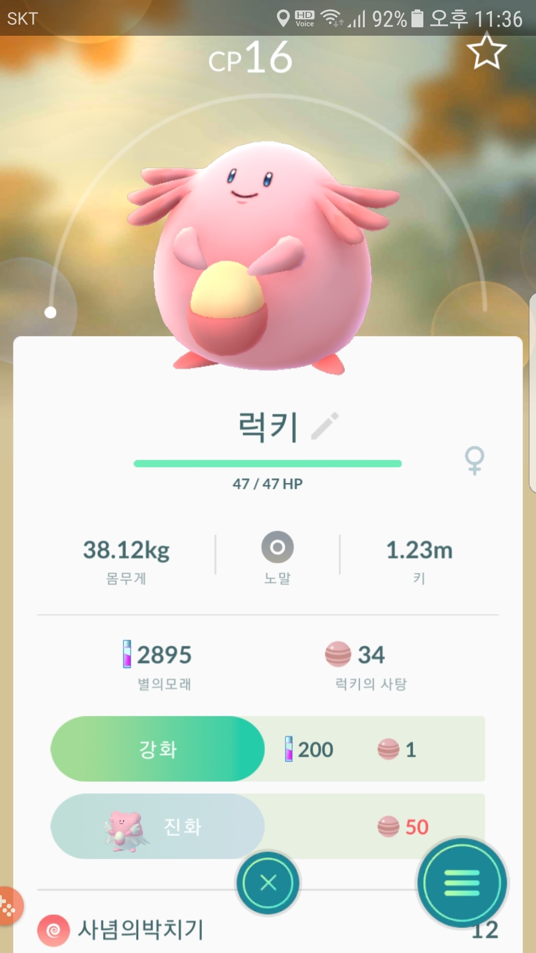 사탕용 럭키
