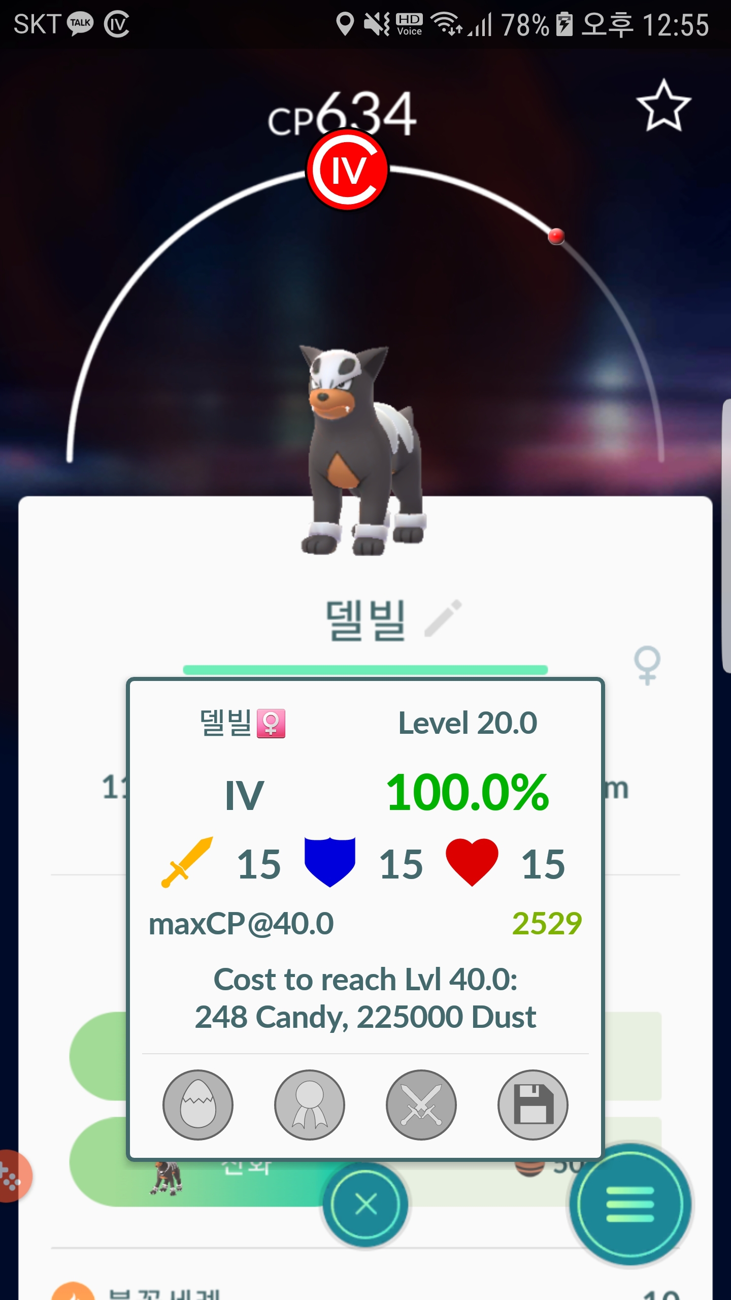 오는잡은 델빌 100%