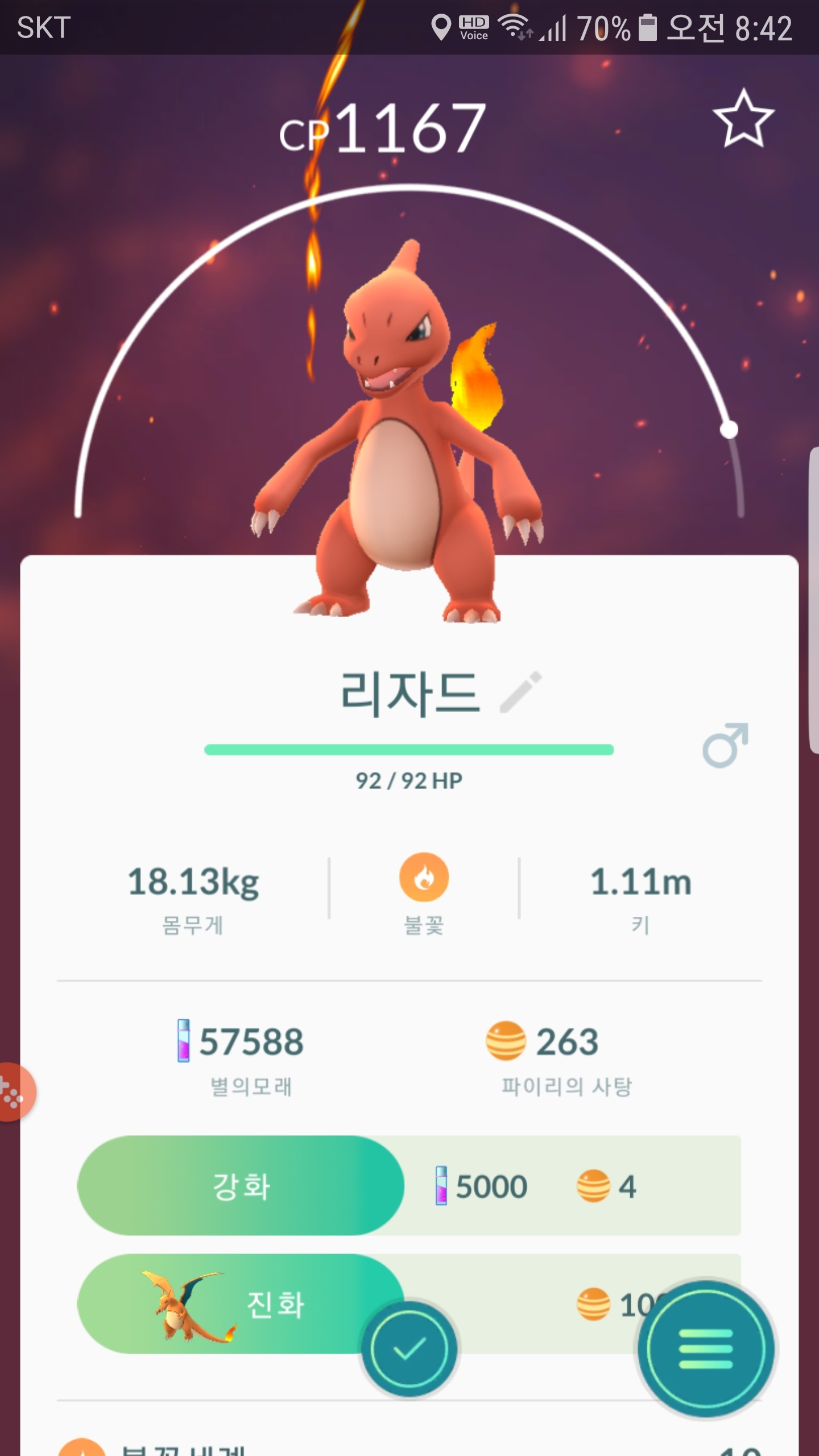 집에서 작은 리자드
