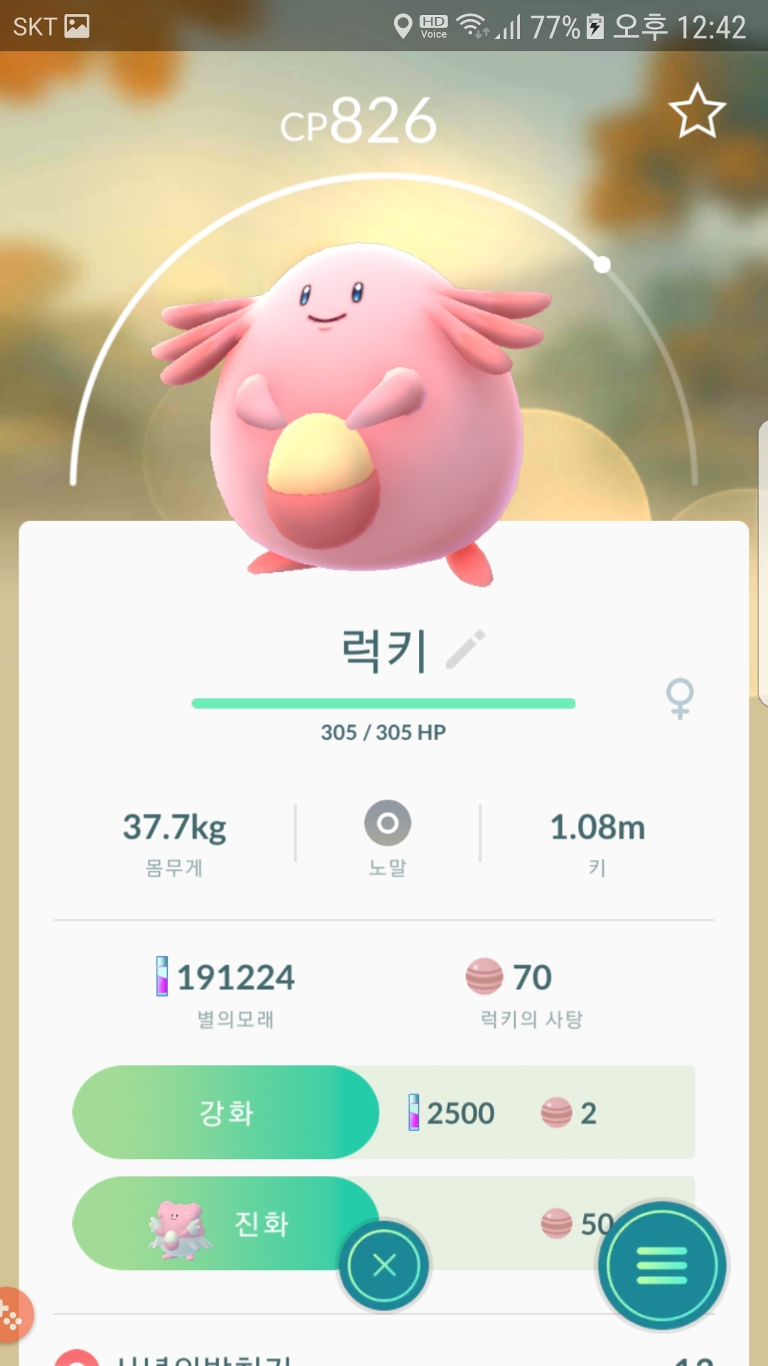 10km알에서 나온 녀석들