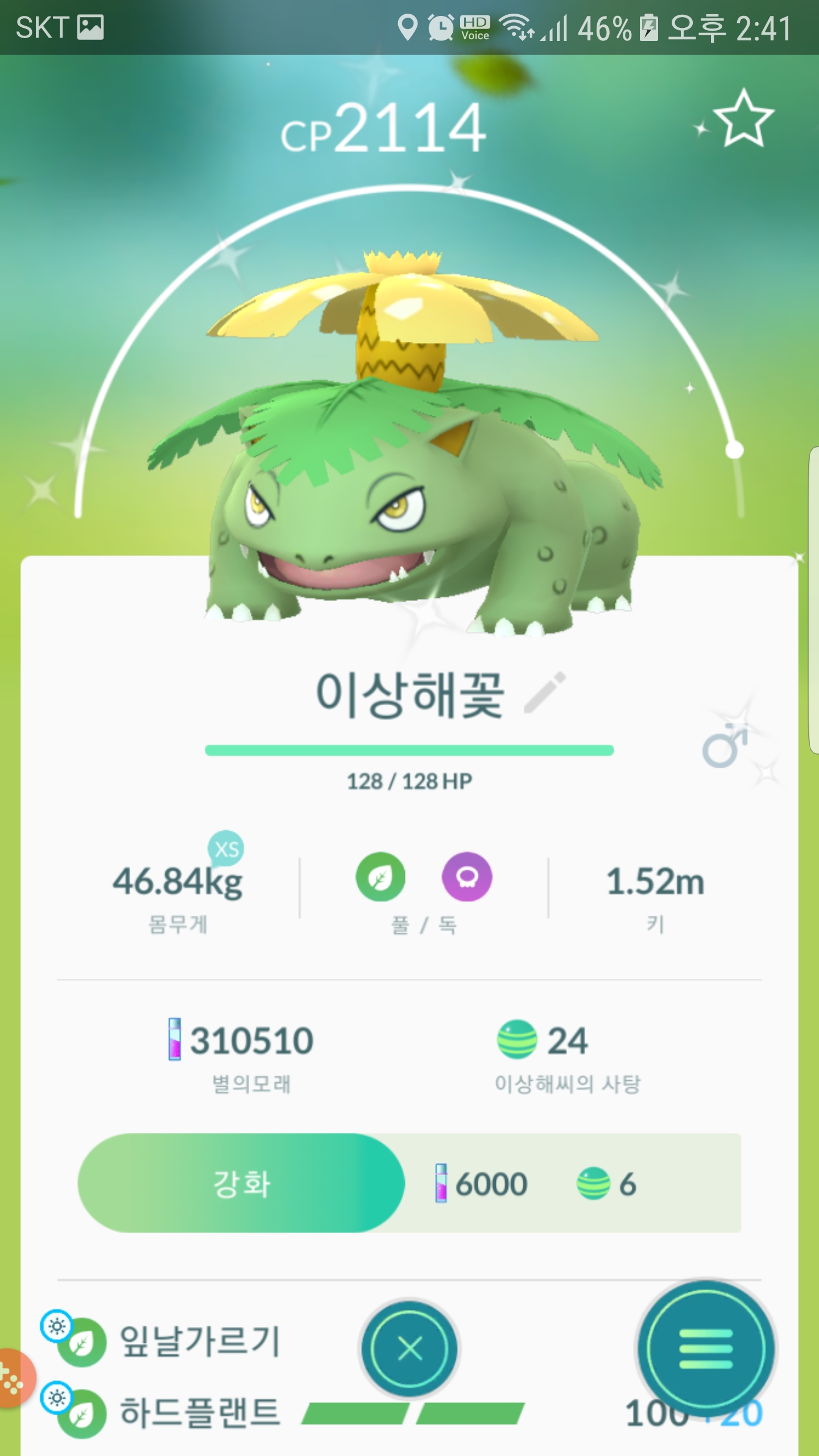 이로치 이상해씨.이상해풀.이상해꽃