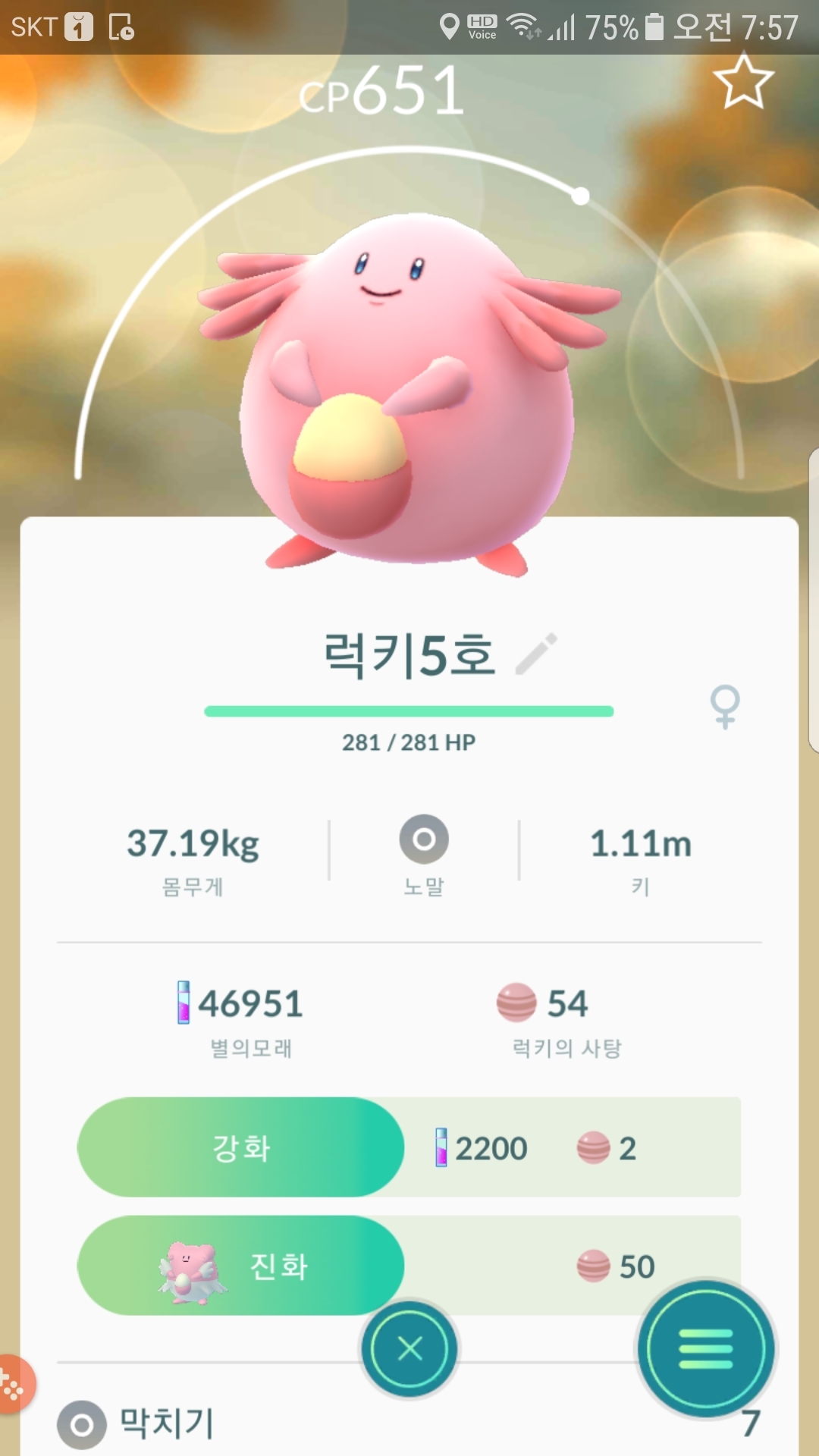 야생럭키 5번째 포획