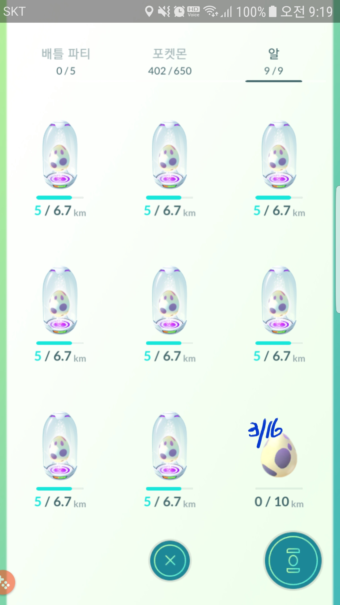 3차 10알 8개 부화 결과