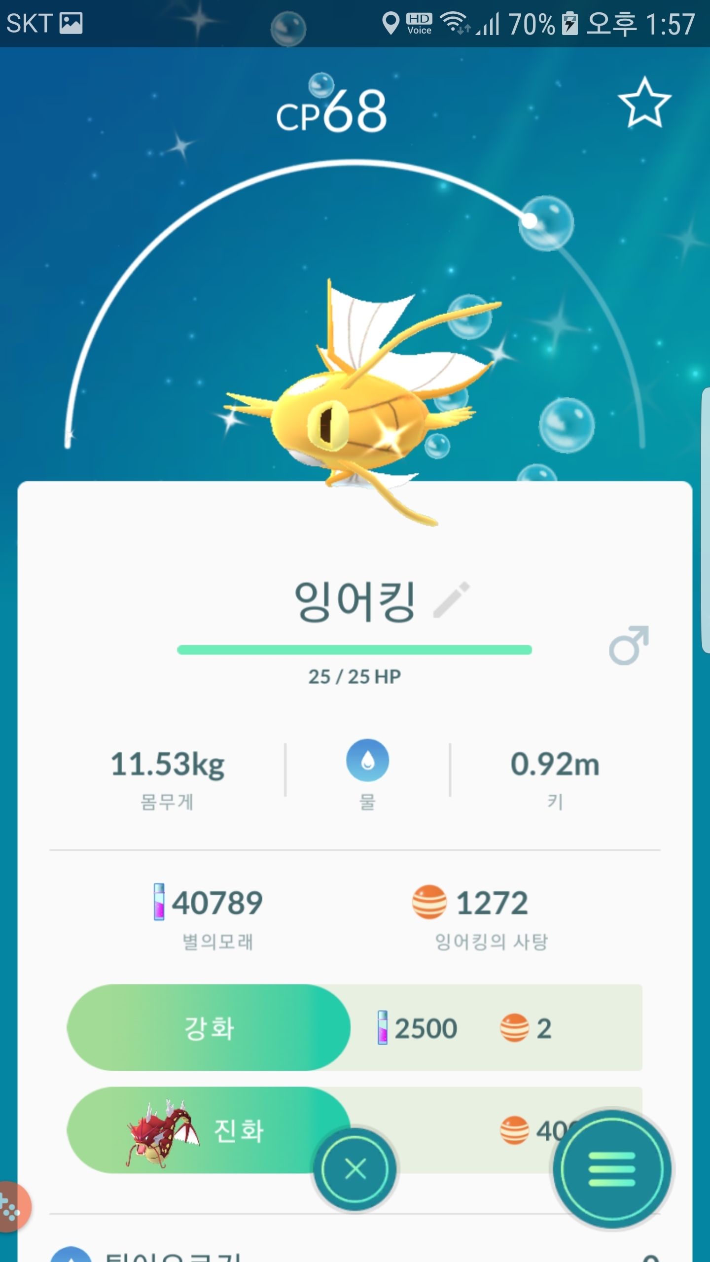 오늘 오잔에 황금잉어킹 운좋게 두마리 잡았네요