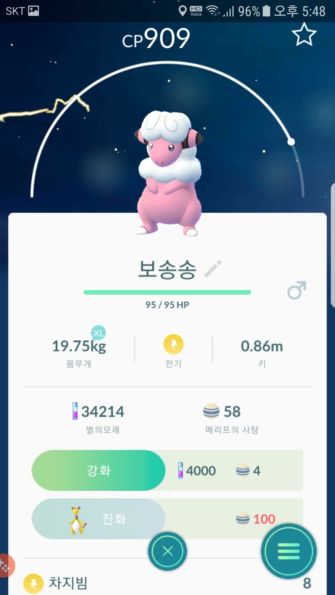 6번째 야생 보송송  포획
