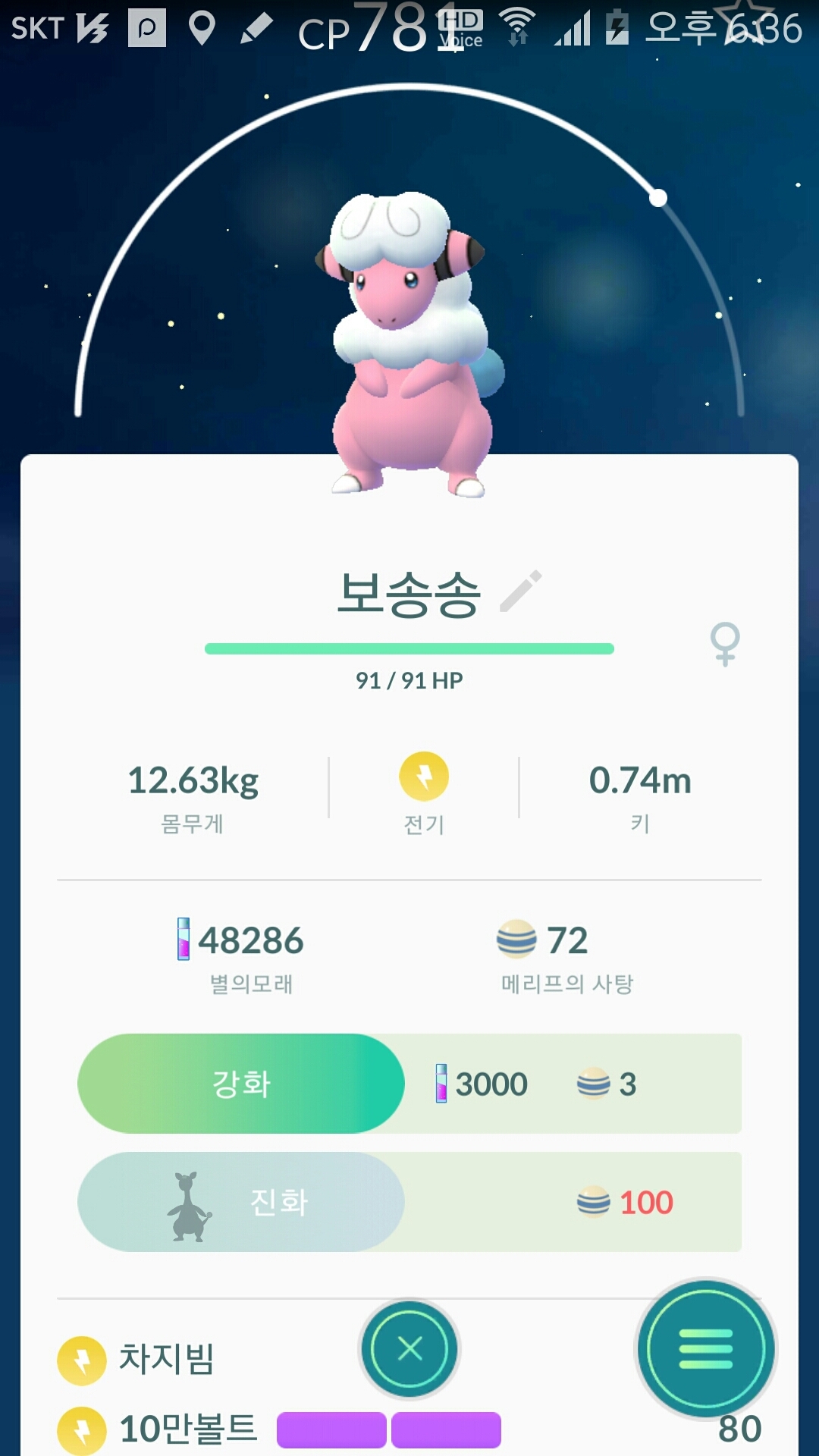 보송송 한마리 포획