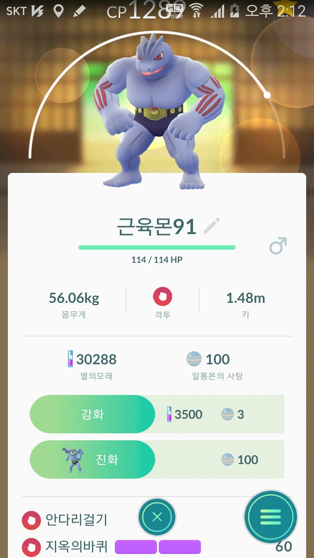 근육몬 진화