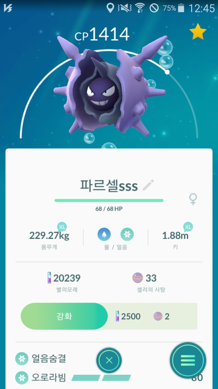 파르셀 sss급