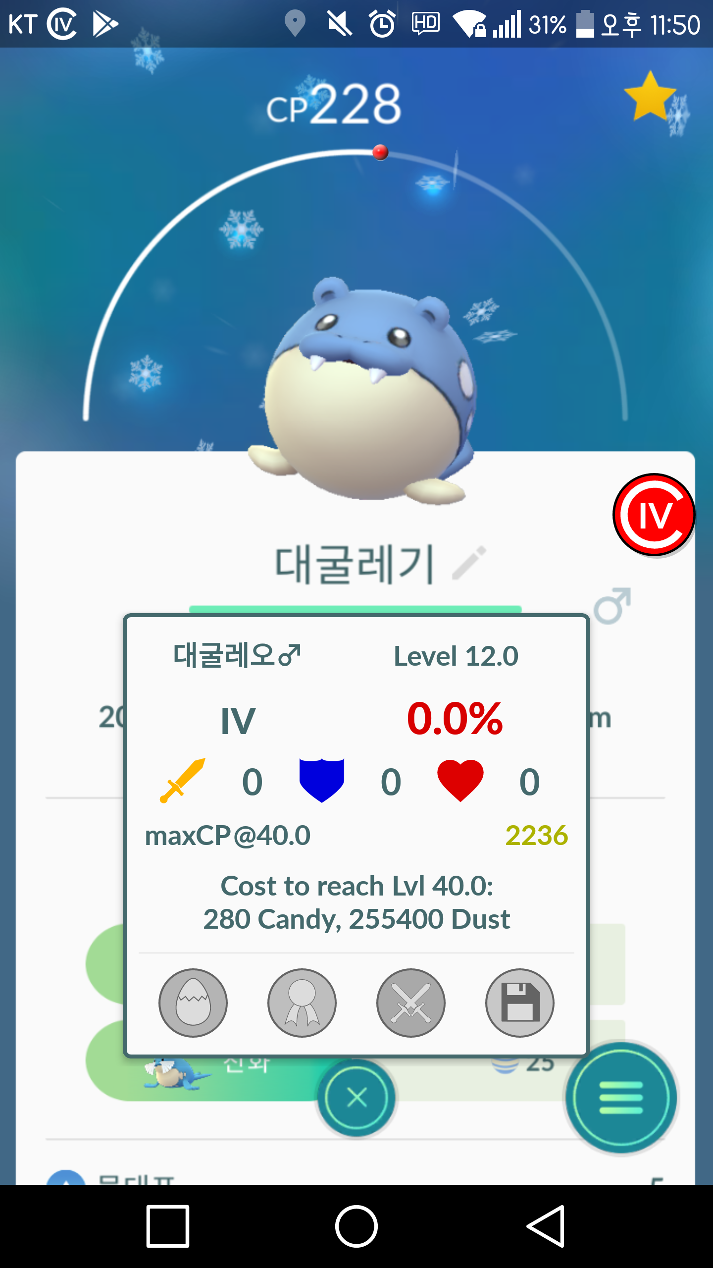 대굴레기 보고가세여