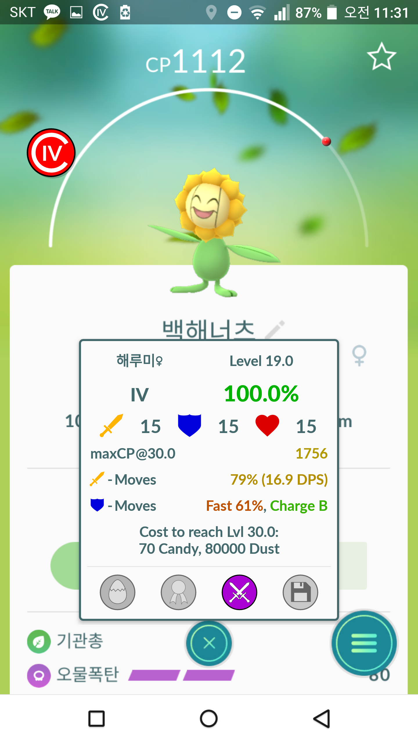해루미