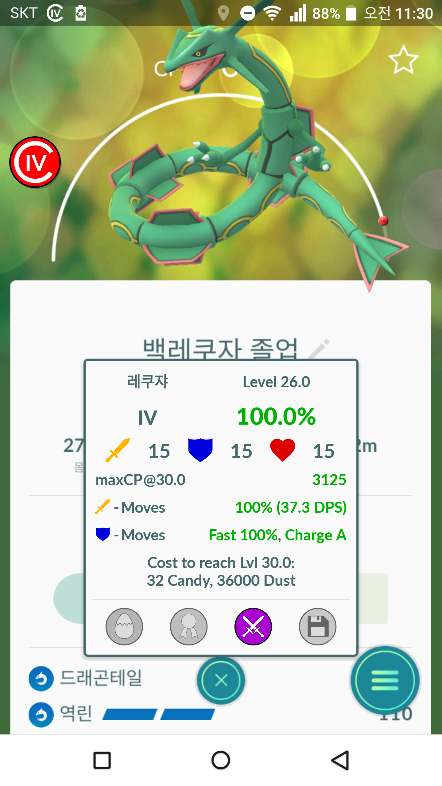 백레쿠자