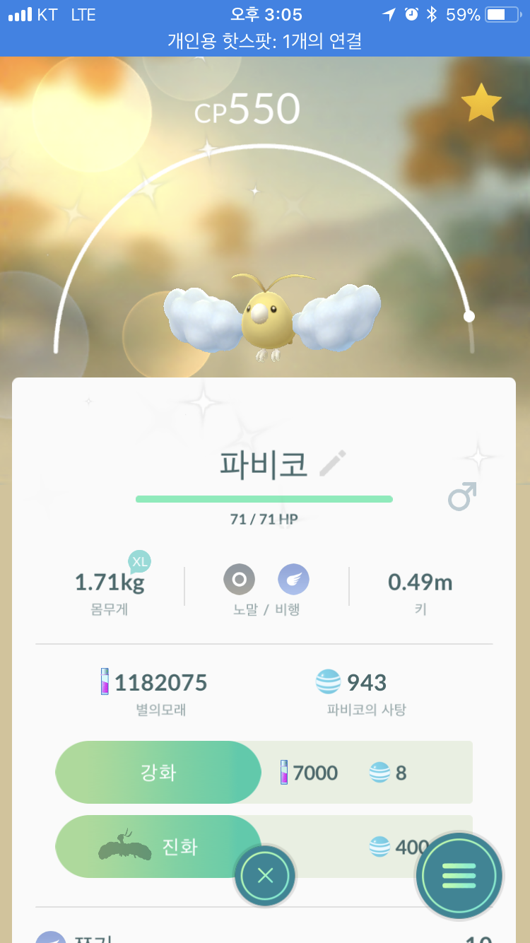 처음 만난 파비코 이로치..