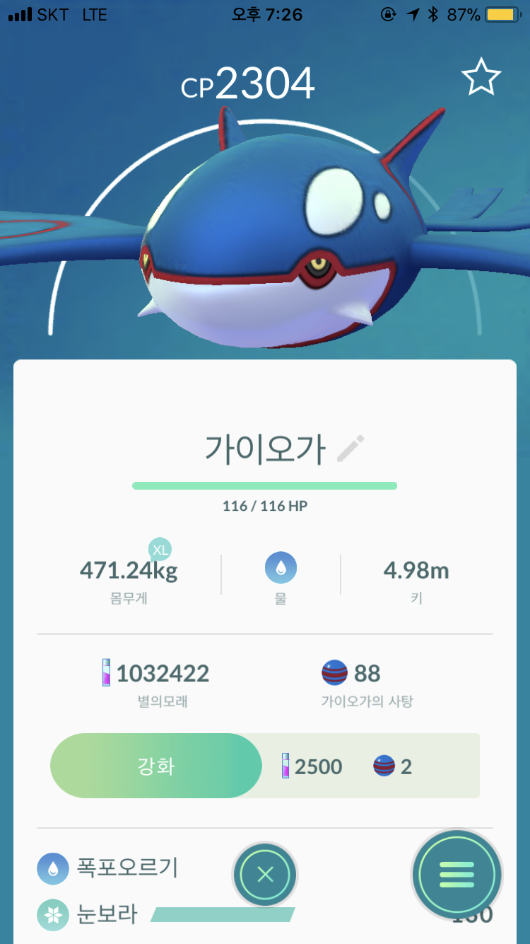 오늘 가이오가