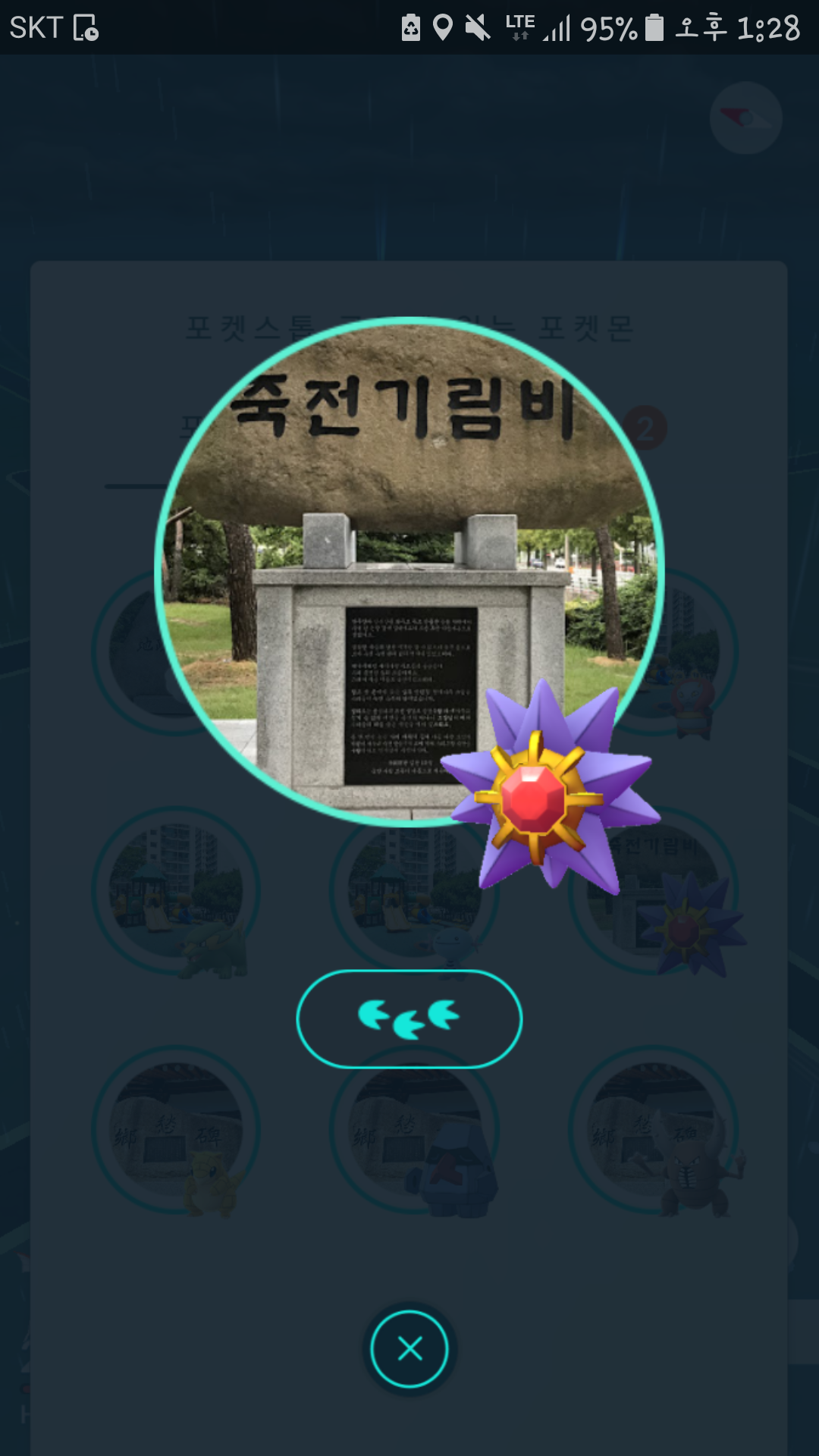 야생 아쿠스타 신기!~