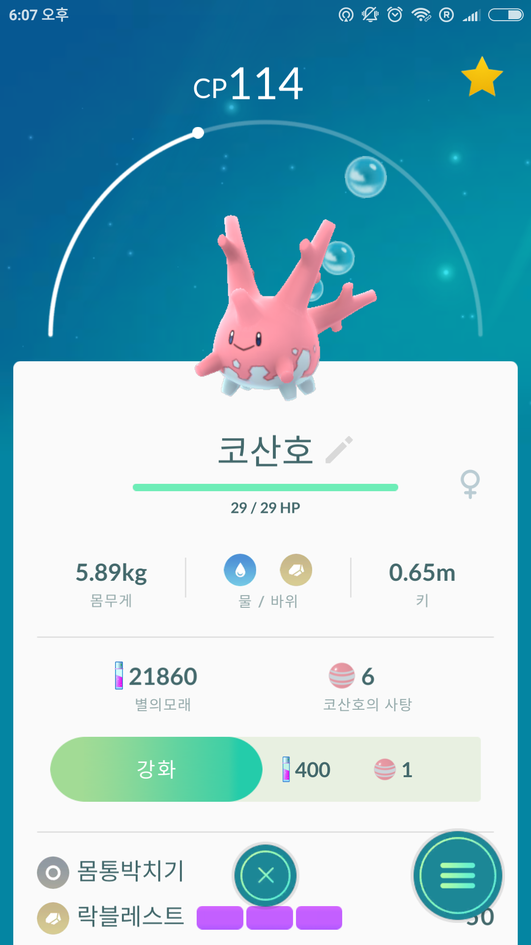 코산호 잡았습니다.