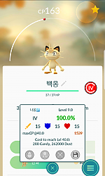 포고플이 잡은 100짜리들 ㅎㅎ