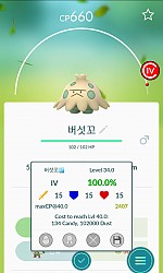우리집.. 대박이예요~ 또 백퍼^^;;;;