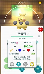 저의 7번째 백퍼 포켓몬 하리뭉입니닷:D