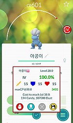 저의 8번째 100% 포켓몬 아공이 입니닼~~~!!!!!