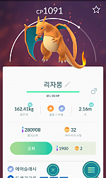 야생리자몽
