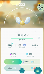 이로치 파비코