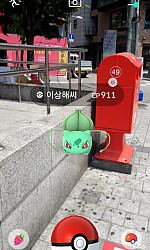 이상해씨