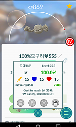 부산에서 사냥한 100!