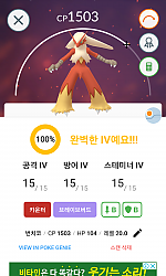 아차모100~진화했네요